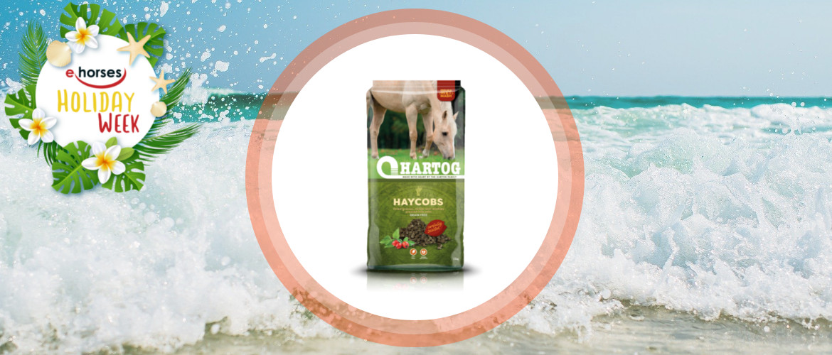 Holiday Week ehorses – Hartog-1170×500
