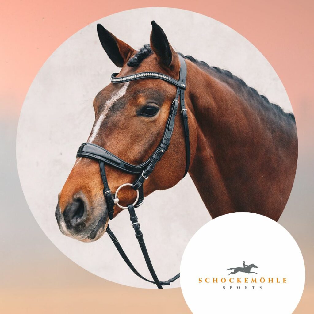 schockemöhle ehorses holidayweek