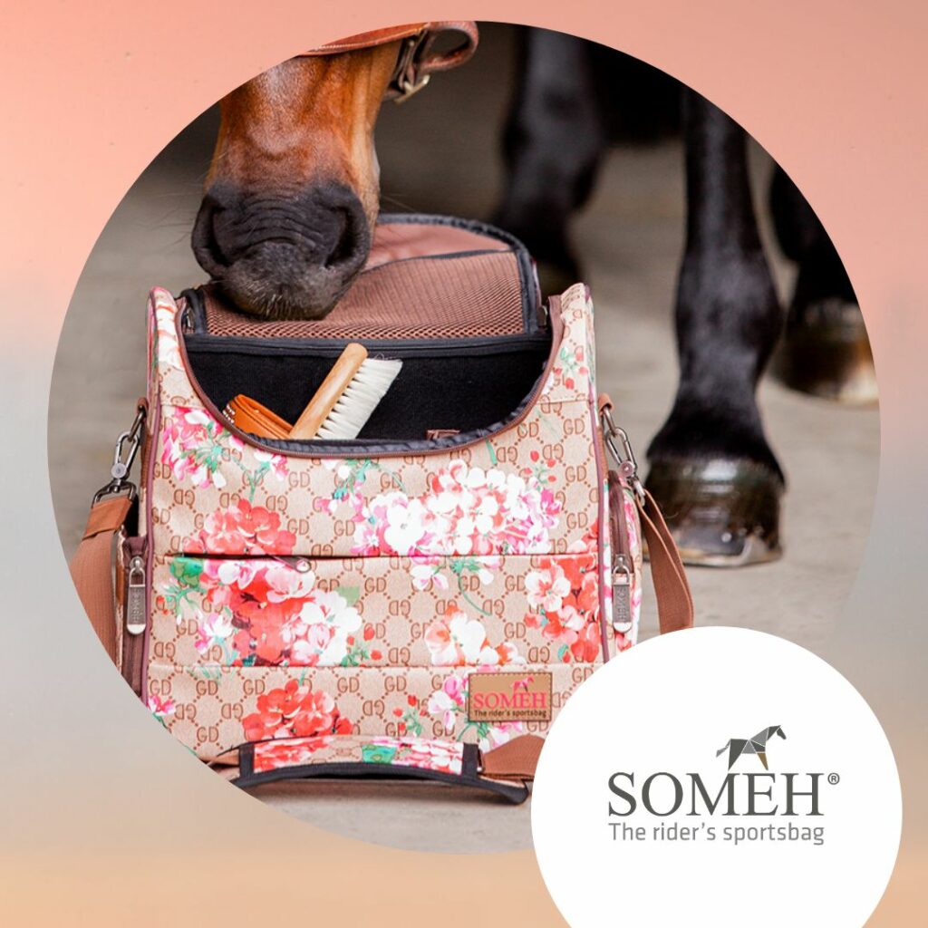 SOMÈH ehorses holidayweek