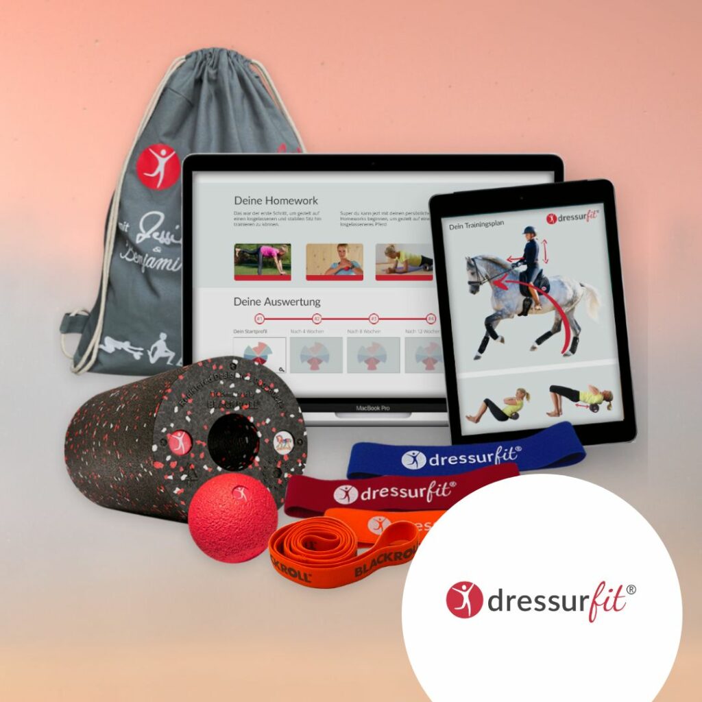 dressurfit ehorses holidayweek