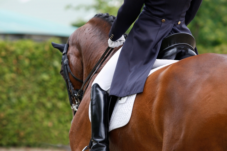 Isabell Werth Olympia Comeback: Dressurreiterin auf Pferd