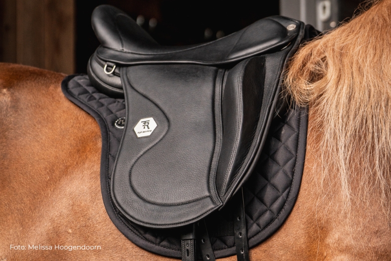 Islandpferdesattel: liegt auf dem Rücken eines Islandpferdes