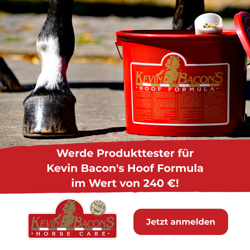 Produkttest Kevins Bacon: Gewinne 3 Eimer im Wert von 240€