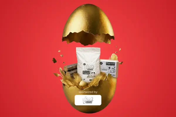 Gewinn zur ehorses Ostereiersuche von LAX