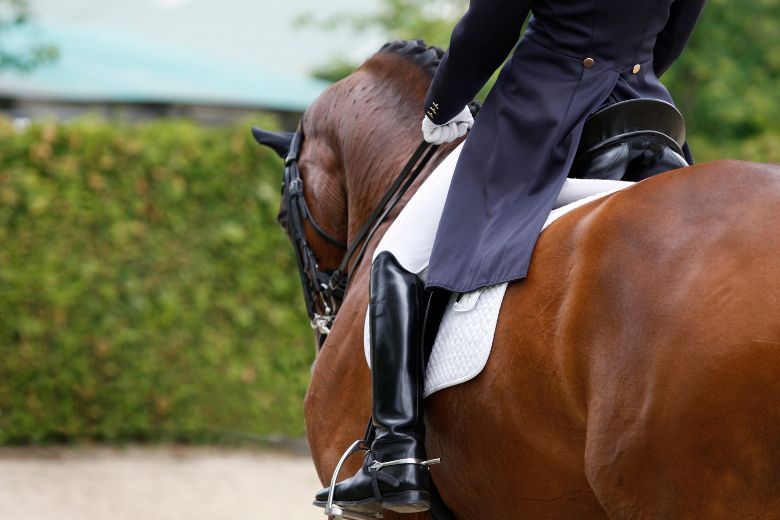 Longines Pfingstturnier Wiesbaden: Dressurreiterin auf einem Pferd schräg von der Seite