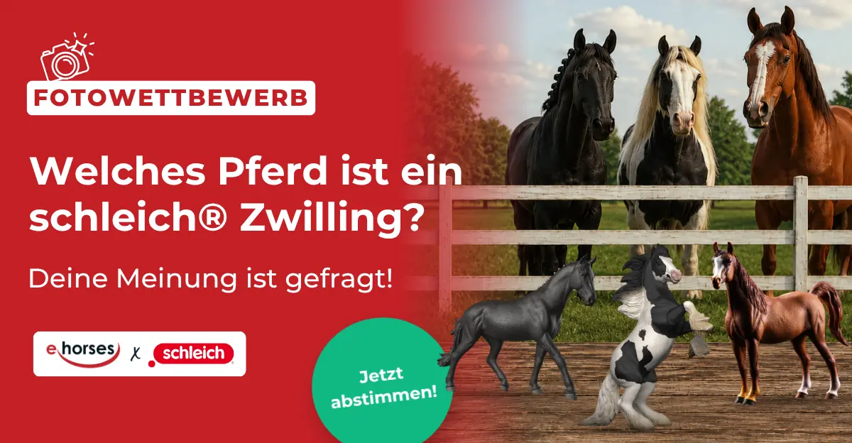 Fotowettbewerb ehorses x schleich