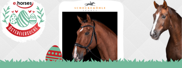 Magazin Header – Ostereiersuche ehorses (1)
