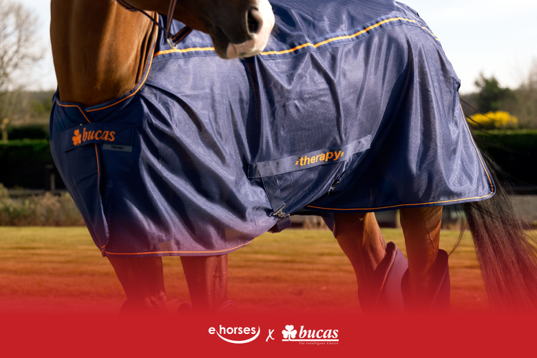 ehorses Produkt des Monats: Bucas Therapy Cooler Decke