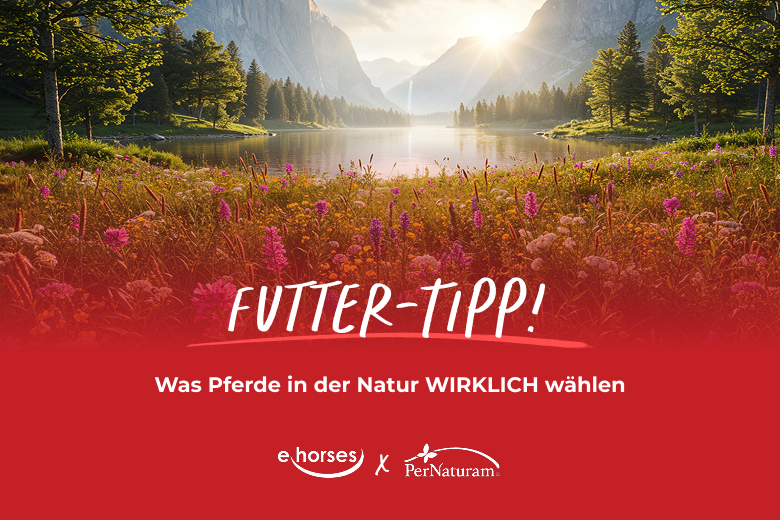 ehorses empfiehlt: Futter von PerNaturam