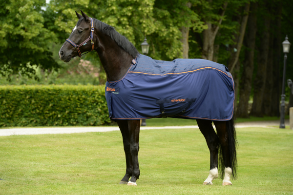 Pferd steht mit Magnetfeldtherapie Decke auf Weide