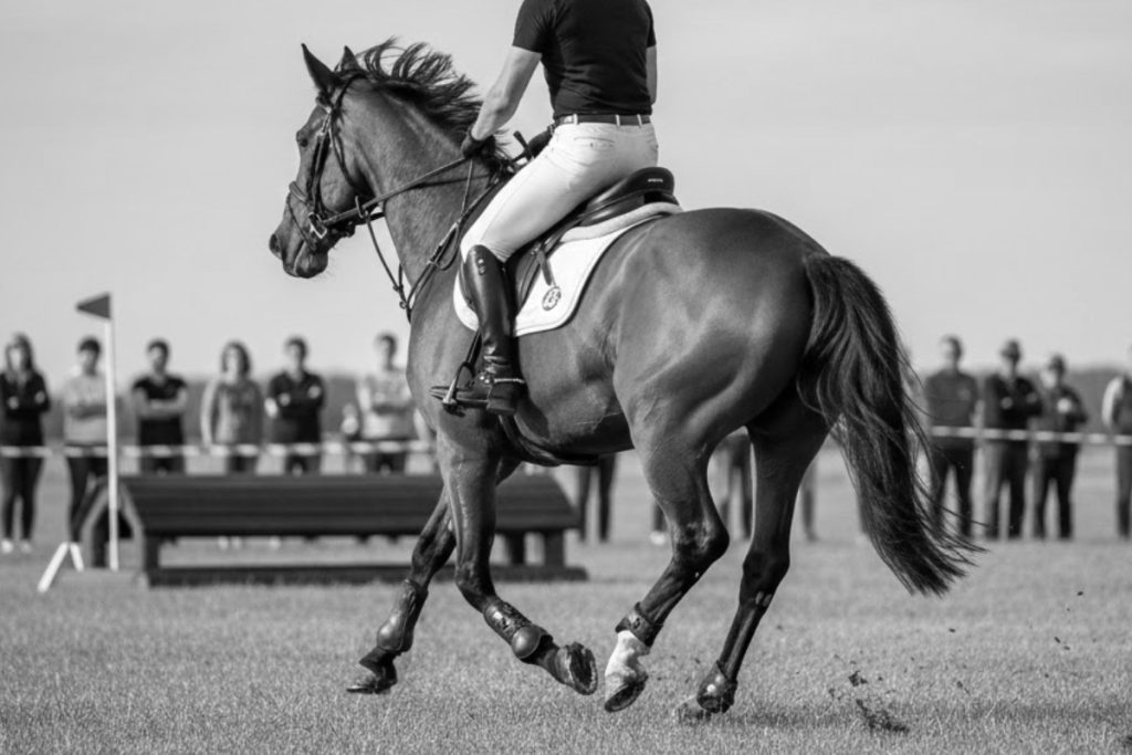 Ein braunes Vielseitigkeitspferd mit schwarzer Mähne und schwarzem Schweif im gestreckten Galopp auf einer grünen Geländestrecke. Ein männlicher Reiter sitzt fest im Sattel, die Perspektive ist leicht von hinten versetzt. Im Hintergrund sind ein hölzernes Hindernis sowie Zuschauer hinter einer Absperrung unter leicht bewölktem Himmel zu erkennen.