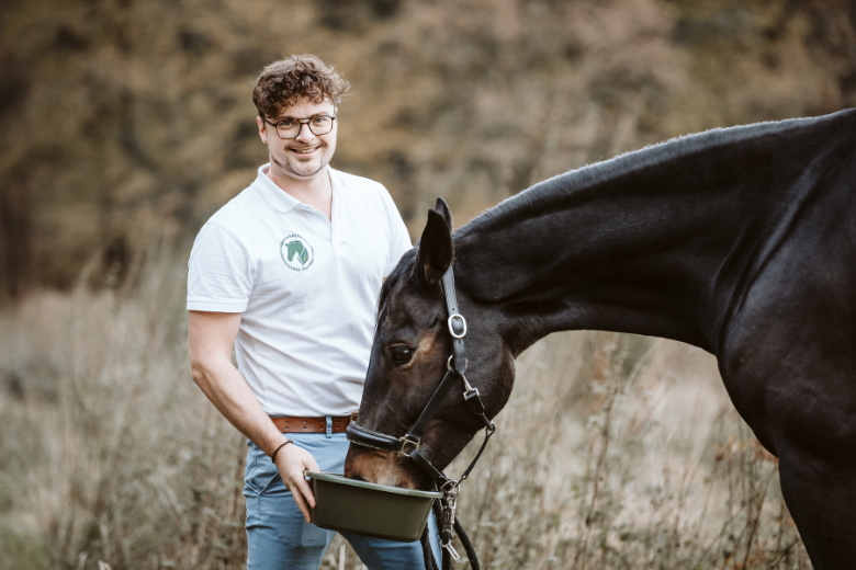 Muskelaufbau Pferd