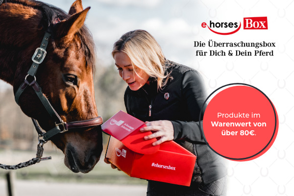 Pferde-Influencer: Sichere Dir 10% Rabatt auf die ehorses Box