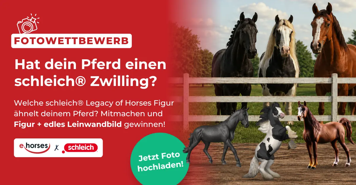 schleich Fotowettbewerb