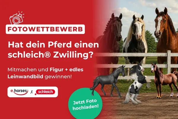 Fotowettbewerb ehorses x schleich
