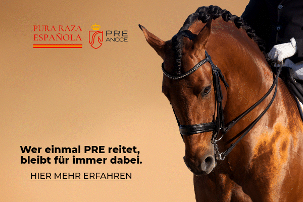 PRE: Wer einmal PRE reitet, bleibt für immer dabei