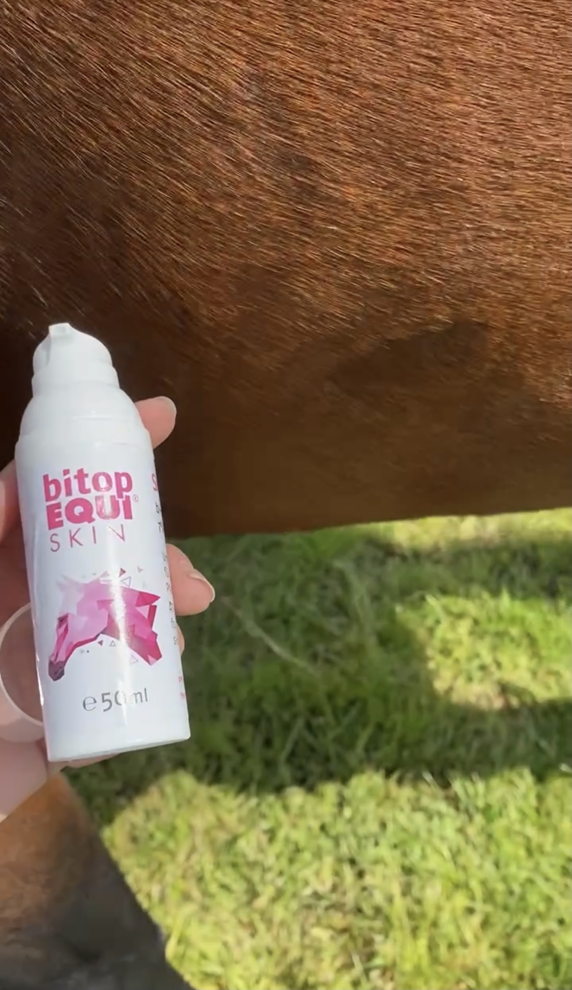 Bitop EQUI Skin mit einem Pferd im Hintergrund