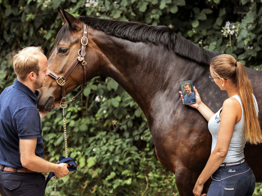 Telemedizin für Pferde: HorseVet24 – Pferdetierarzt Online