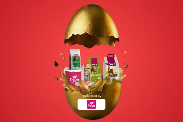 Gewinn zur ehorses Ostereiersuche von Pavo