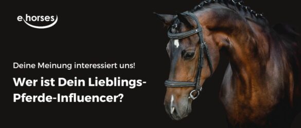 Pferde Influencer: Wer ist Dein Liebling?