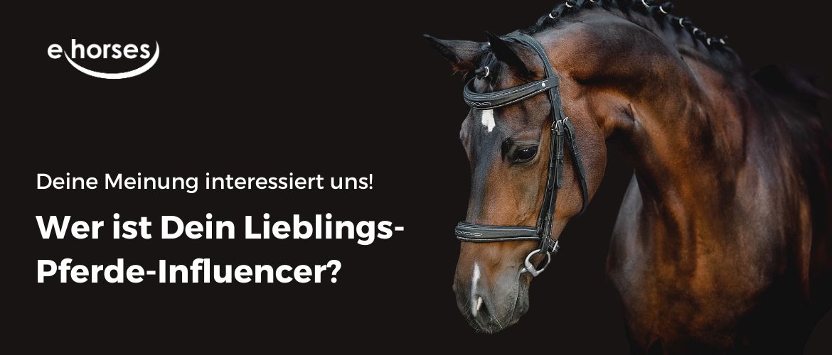 Pferde Influencer Pferde Influencer: Wer ist Dein Liebling?