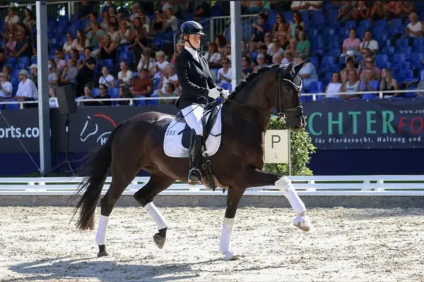 Pferde-der-woche-170326 Hildegard