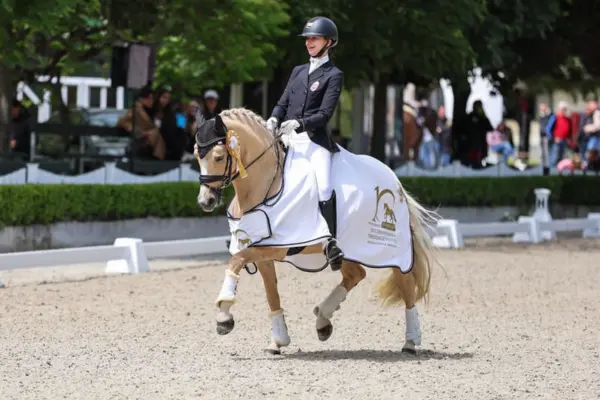 Pferde-der-woche-170326-dating-point (2)