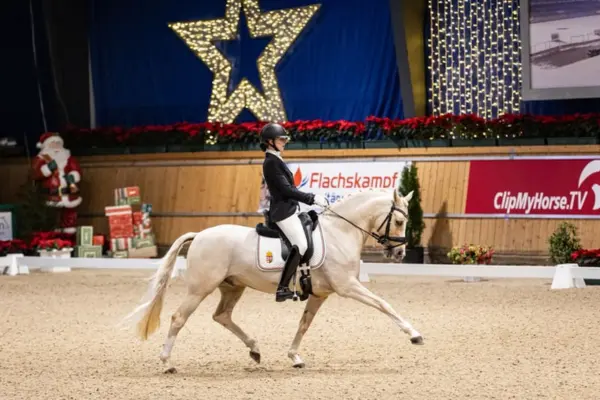 Pferde-der-woche-170326-dating-point