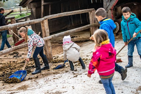 Kinder sammeln Pferdeäpfel an einem Offenstall auf