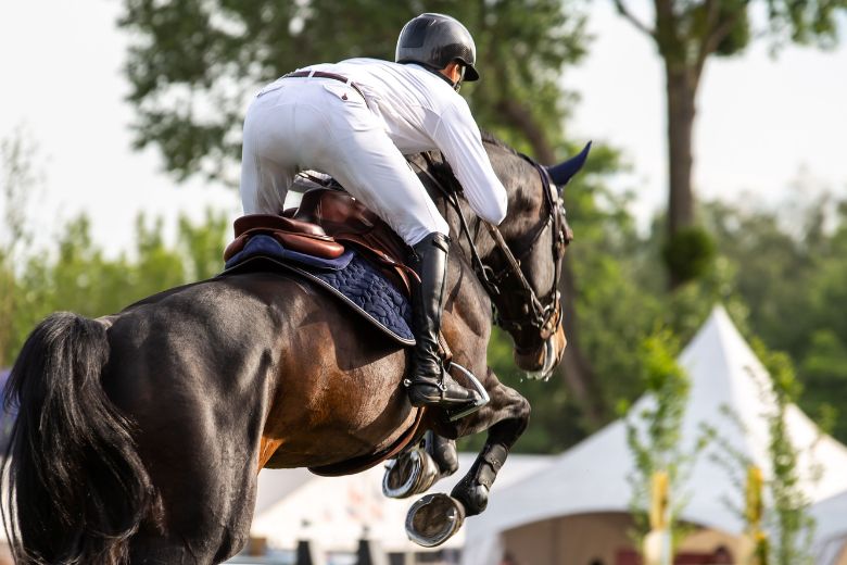 Preis der Besten: Braunes Pferd und sein Reiter springen auf einem Turnier über einen Sprung von der Kamera weg
