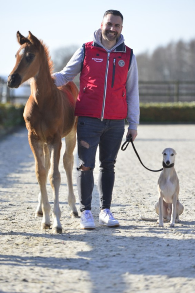 Fohlen boomen auf ehorses: Felix von ehorses mit einem Fohlen