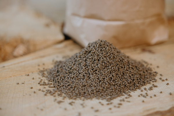 Produkt des Monats CYSTUS EQUINE® in der Nahaufnahme. Man sieht ein Häufchen Futter auf einer Holzplatte angerichtet