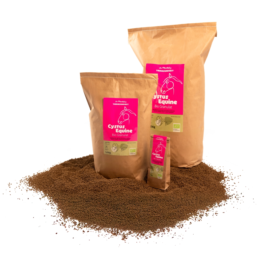 Produkt des Monats CYSTUS EQUINE®