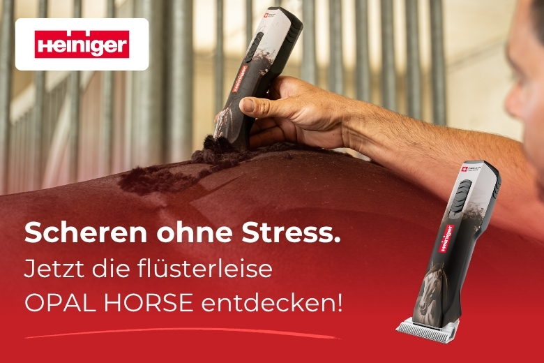 ehorses Produkt des Monats: Schermaschine von Heiniger