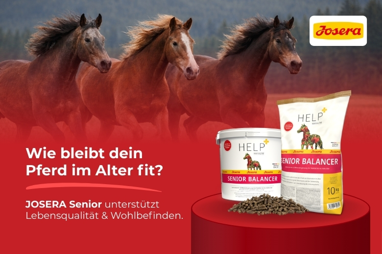 Produkt des Monats - eh - Harry's Horse - JOSERA Senior 780x520