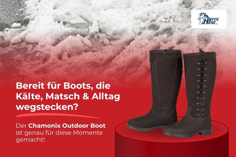 ehorses Produkt des Monats: Boots von Harry's Horse