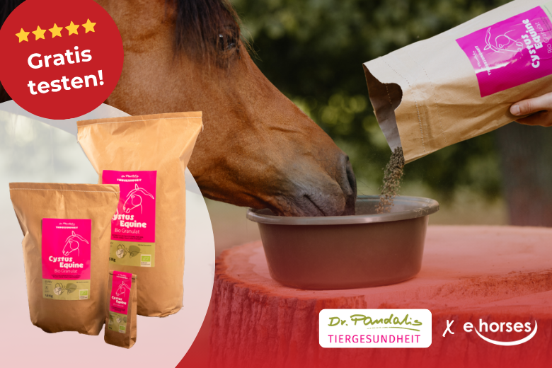 Produkttest mit Dr. PANDALIS