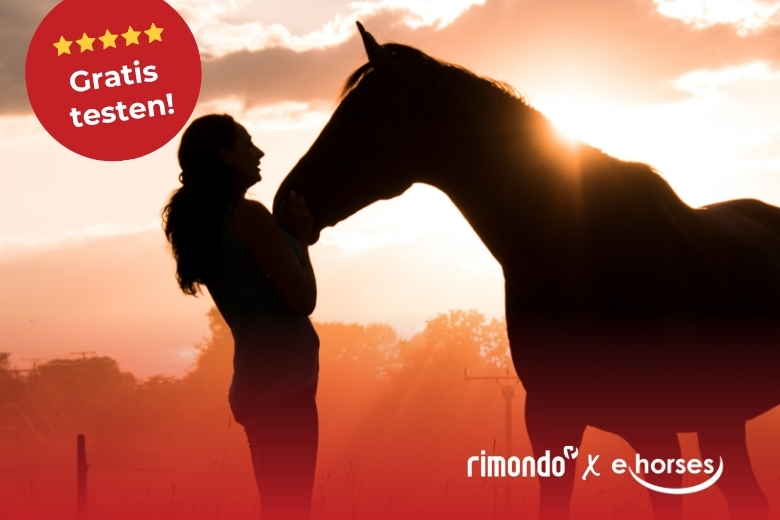 Produkttest mit Rimondo