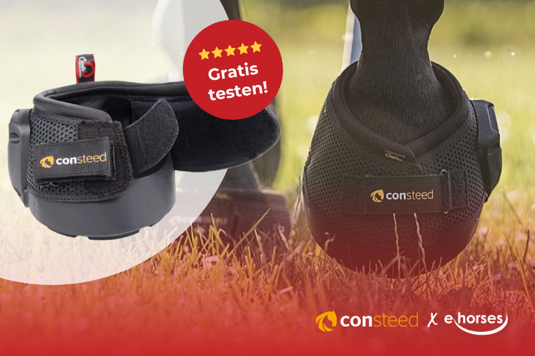 Produkttest mit Consteed: Teste den Consteed Hufschuh gratis