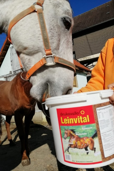 Produkttest-Deukavallo-Leinvital-Futter-Pferdefutter-Schimmel