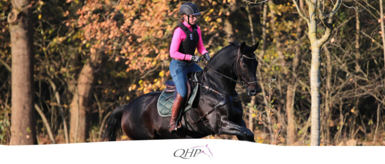 Erfahrungen mit dem Thermo Shirt von QHP