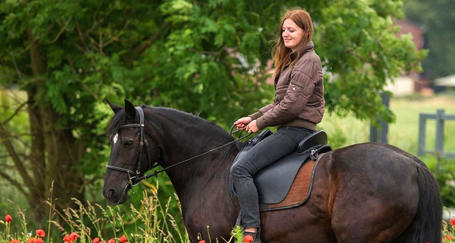 Reitbeteiligung suchen und finden – Die Nadel im Heuhaufen