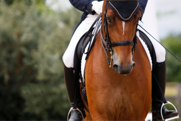 Person reitet Dressur
