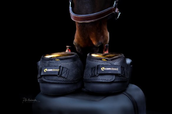 Rike Buhrmester RB Photography