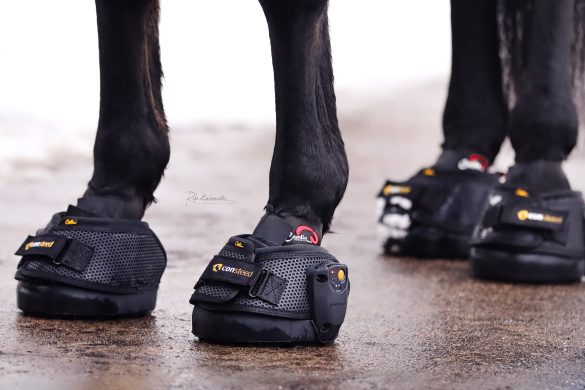 Rike Buhrmester RB Photography (4)