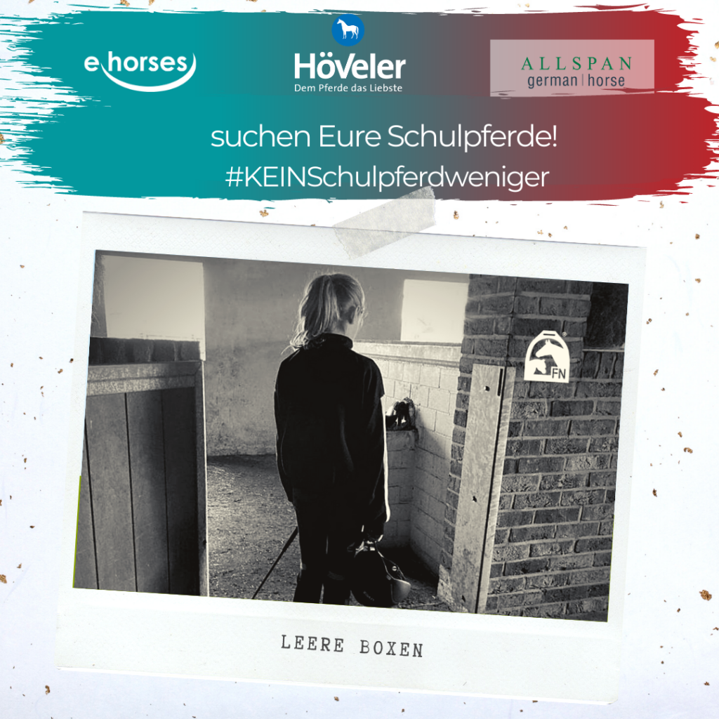 Schulpferde-Gewinnspiel_1 Schulpferde-Gewinnspiel_1