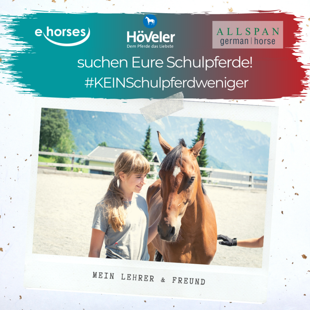 Schulpferde-Gewinnspiel_2 Schulpferde-Gewinnspiel_2