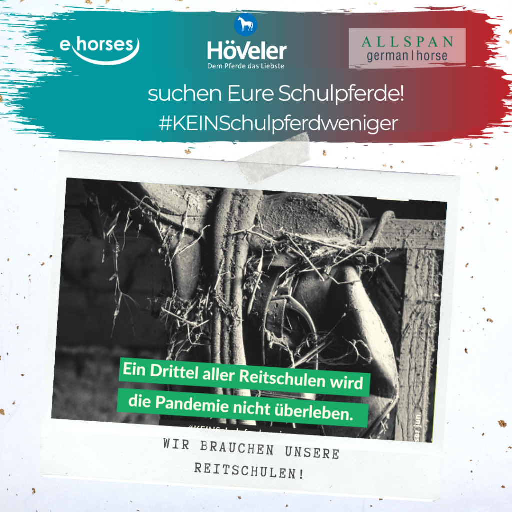 Schulpferde-Gewinnspiel_3 Schulpferde-Gewinnspiel_3