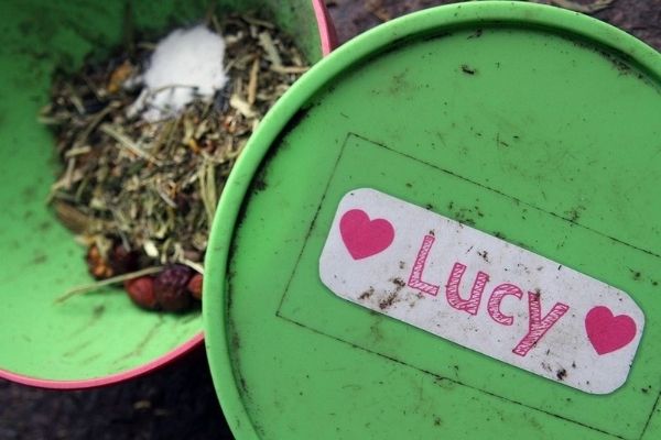 Shetty Futter Geöffnete Schale mit Futter