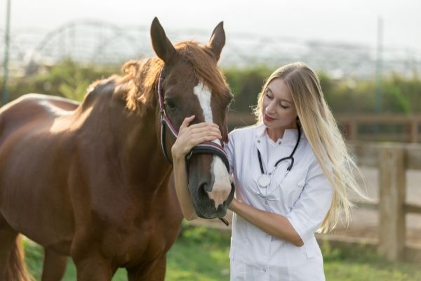 Shivering beim Pferd: Tierärztin mit einem Pferd